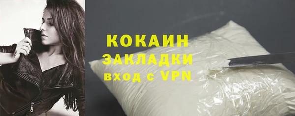 мдпв Карпинск