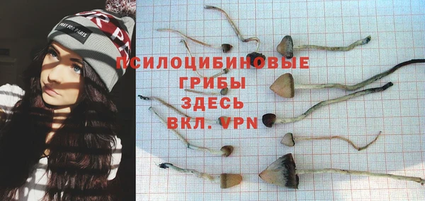 спайс Касимов