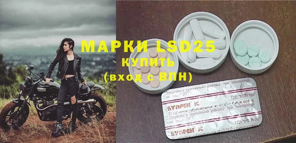 спайс Касимов