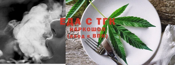 мдпв Карпинск