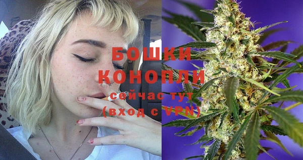 мдпв Карпинск