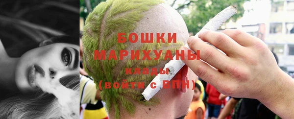 мдпв Карпинск