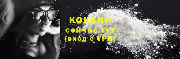 мдпв Карпинск