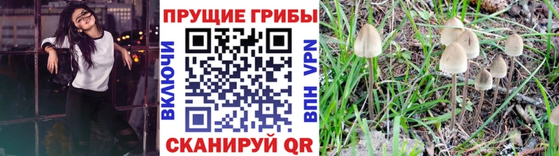 Псилоцибиновые грибы мухоморы  Купить  Благодарный 