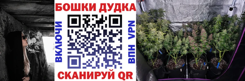 Бошки марихуана ГИДРОПОН  Купить где  Благодарный 